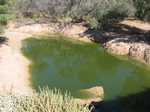 One lot of water that I am glad that I didn't have to rely on