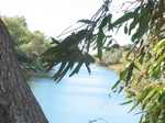 Great waterhole