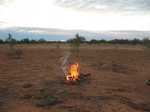 Plenty of wood here. I got carried away with the billy fire