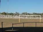 And a sports oval (with bird flight training)