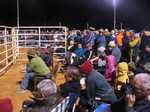 Does it get cold at Boulia?