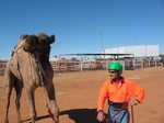 Chris the jockey, parcel post contractor and cameleer extroardinaire