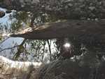 Getting close to Mt Isa. Time for some reflections