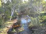 Corella river