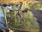 More reflections