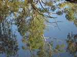 Yet more reflections