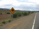 Watch out for wild animals! Flinders Ranges in the background