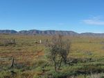 Wilpena Pound from the outside