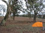 Good camping spot. Not too many rocks. Good firewood