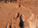 The driest part of the creek