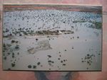 Merty Merty homestead after the drougt broke. A picture of a picture