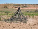 Upside down tree