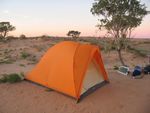 A good camping spot. 2 'trees' for the antenna, firewood and soft sand